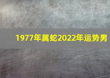 1977年属蛇2022年运势男