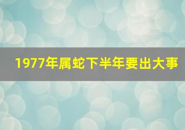 1977年属蛇下半年要出大事