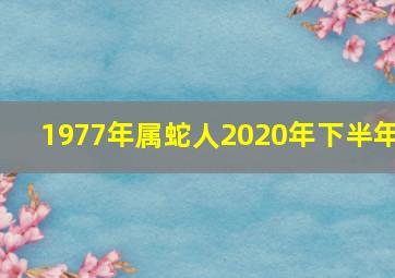 1977年属蛇人2020年下半年