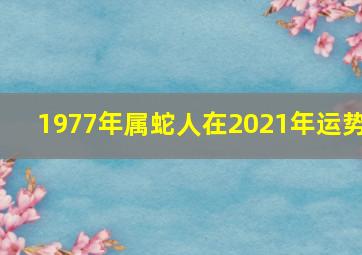 1977年属蛇人在2021年运势