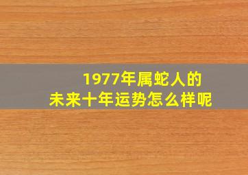 1977年属蛇人的未来十年运势怎么样呢