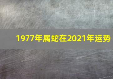 1977年属蛇在2021年运势