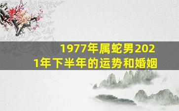 1977年属蛇男2021年下半年的运势和婚姻