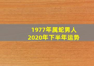 1977年属蛇男人2020年下半年运势