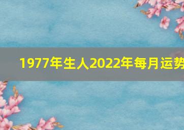 1977年生人2022年每月运势