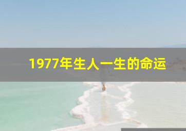 1977年生人一生的命运