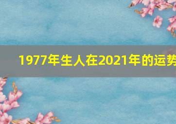 1977年生人在2021年的运势