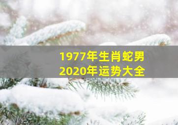 1977年生肖蛇男2020年运势大全