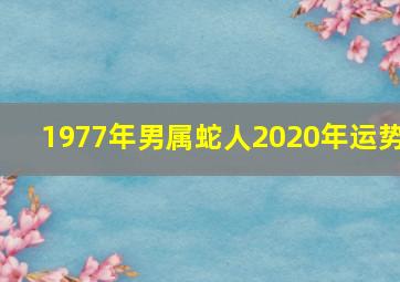 1977年男属蛇人2020年运势