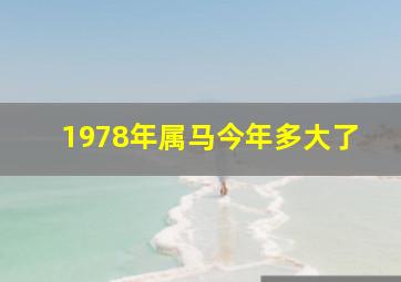 1978年属马今年多大了