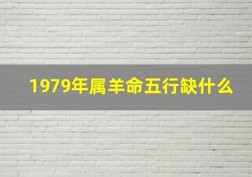 1979年属羊命五行缺什么