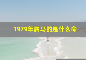 1979年属马的是什么命