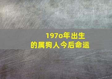 197o年出生的属狗人今后命运