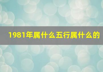 1981年属什么五行属什么的