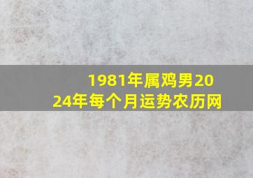 1981年属鸡男2024年每个月运势农历网