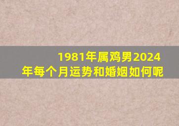 1981年属鸡男2024年每个月运势和婚姻如何呢