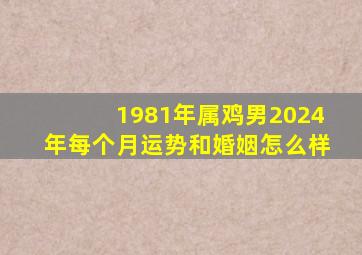 1981年属鸡男2024年每个月运势和婚姻怎么样