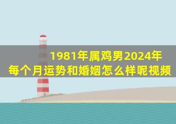 1981年属鸡男2024年每个月运势和婚姻怎么样呢视频