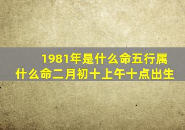 1981年是什么命五行属什么命二月初十上午十点出生