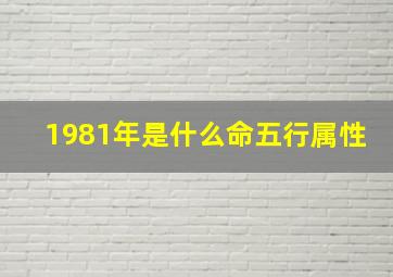 1981年是什么命五行属性