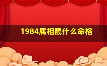 1984属相鼠什么命格