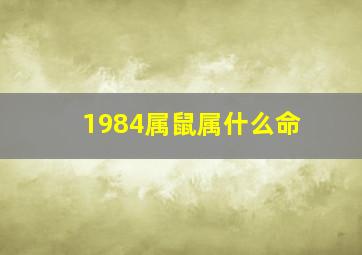 1984属鼠属什么命