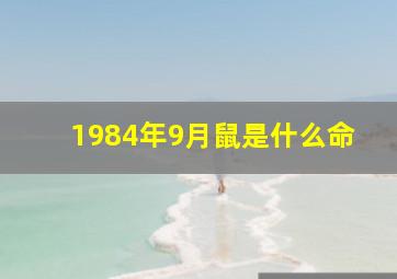 1984年9月鼠是什么命