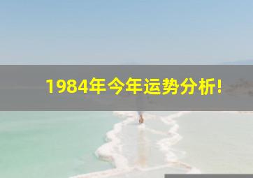 1984年今年运势分析!