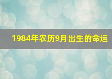 1984年农历9月出生的命运