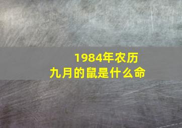 1984年农历九月的鼠是什么命