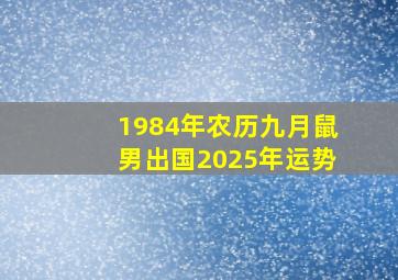 1984年农历九月鼠男出国2025年运势