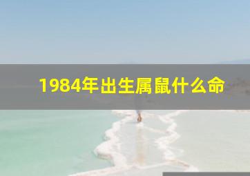 1984年出生属鼠什么命