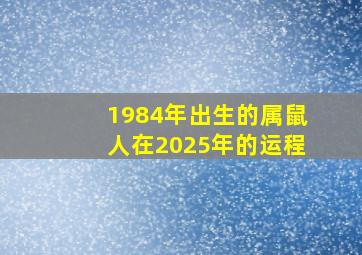 1984年出生的属鼠人在2025年的运程