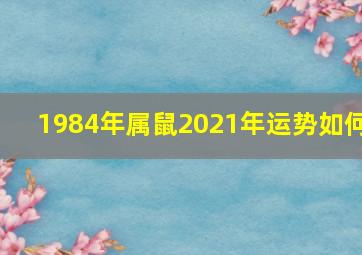 1984年属鼠2021年运势如何