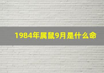 1984年属鼠9月是什么命