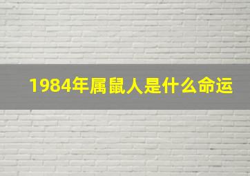 1984年属鼠人是什么命运