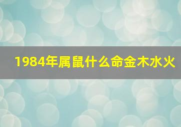 1984年属鼠什么命金木水火