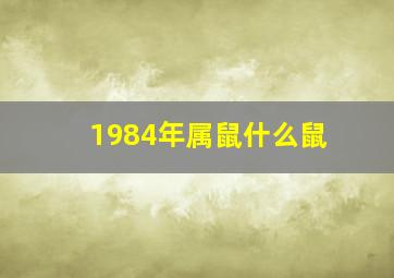 1984年属鼠什么鼠