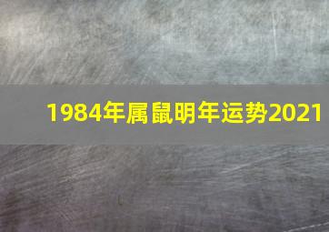 1984年属鼠明年运势2021