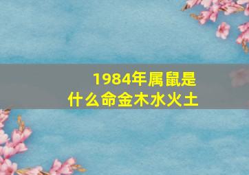 1984年属鼠是什么命金木水火土