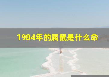 1984年的属鼠是什么命