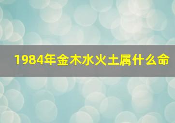 1984年金木水火土属什么命