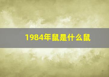 1984年鼠是什么鼠