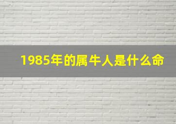 1985年的属牛人是什么命