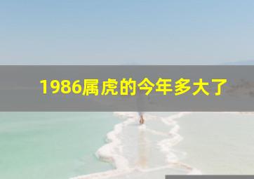 1986属虎的今年多大了