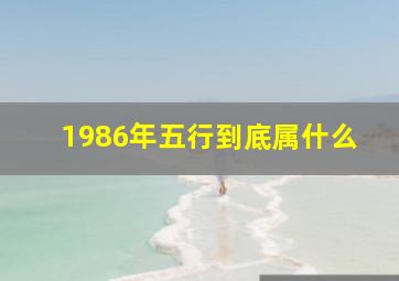 1986年五行到底属什么