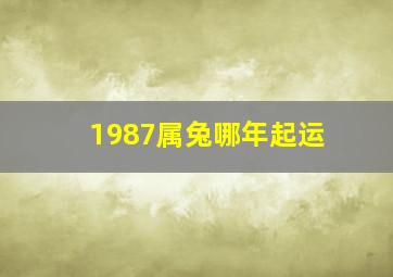 1987属兔哪年起运