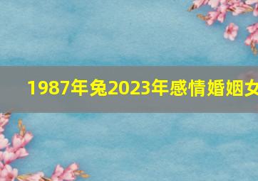 1987年兔2023年感情婚姻女