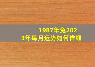 1987年兔2023年每月运势如何详细