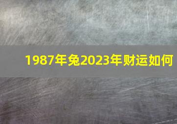 1987年兔2023年财运如何